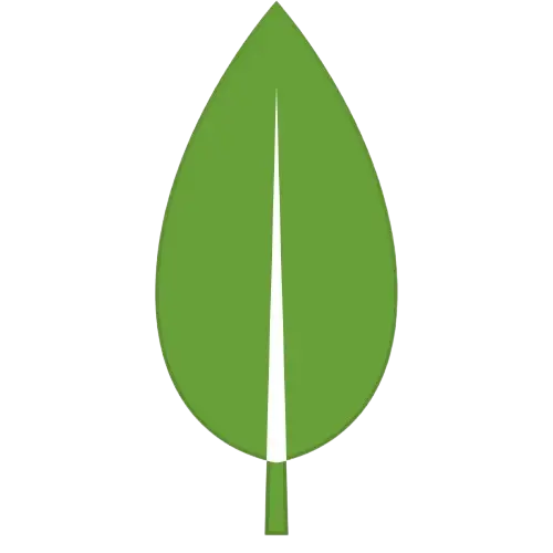 mongodb-logo